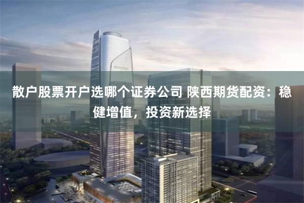 散户股票开户选哪个证券公司 陕西期货配资：稳健增值，投资新选择