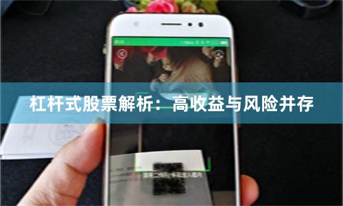 杠杆式股票解析：高收益与风险并存